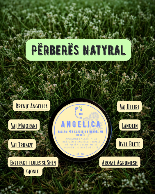Angelica - Balsam për rrufën